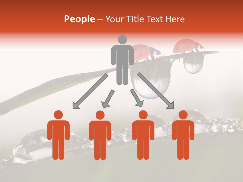 Weather Leaf Water PowerPoint Template