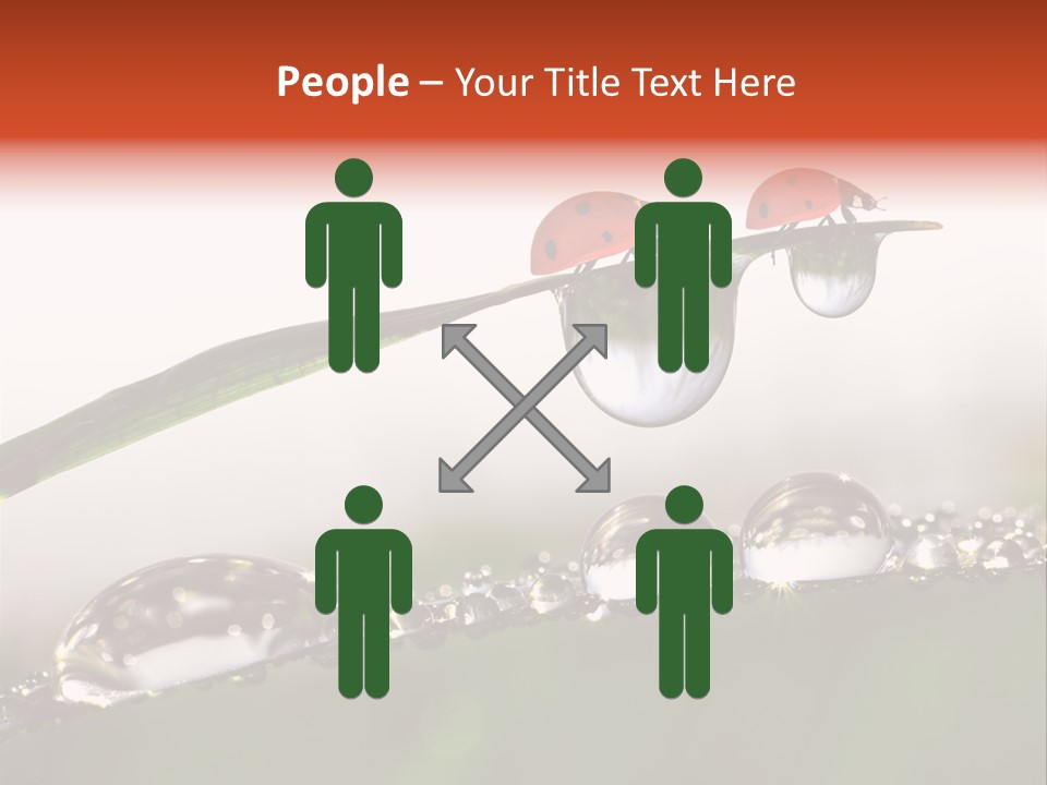 Weather Leaf Water PowerPoint Template