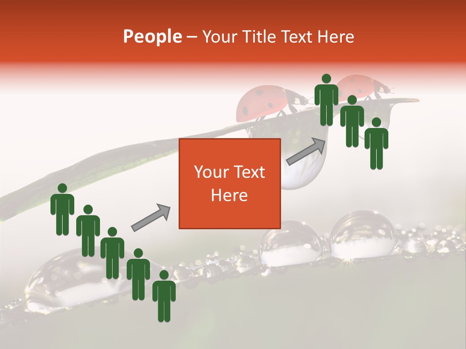 Weather Leaf Water PowerPoint Template