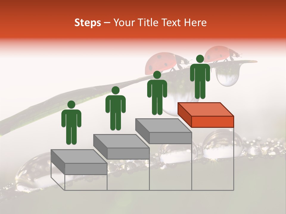 Weather Leaf Water PowerPoint Template