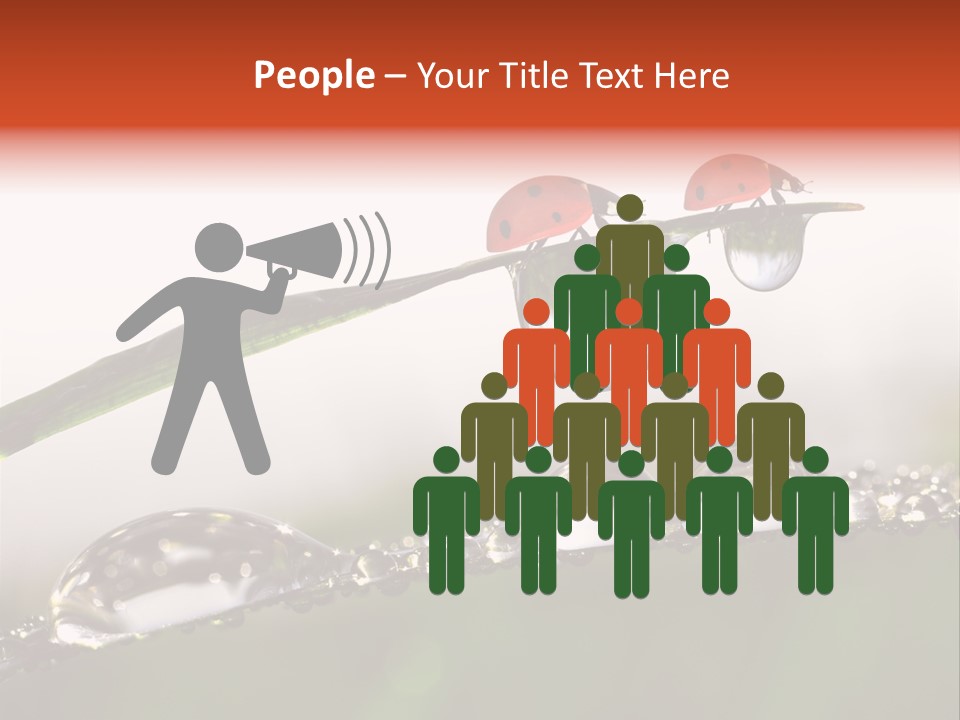 Weather Leaf Water PowerPoint Template