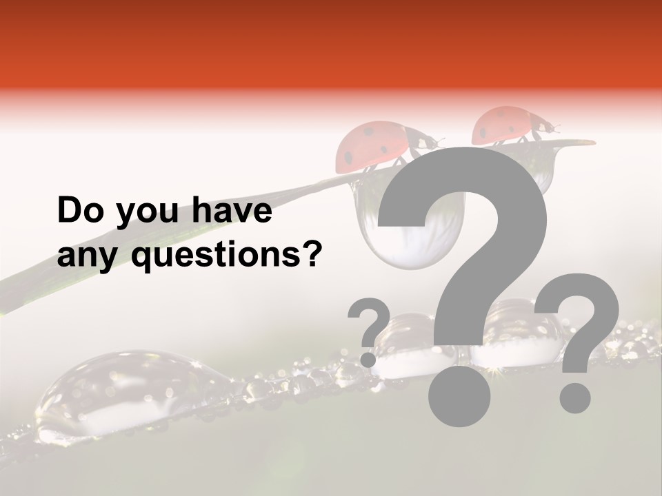 Weather Leaf Water PowerPoint Template