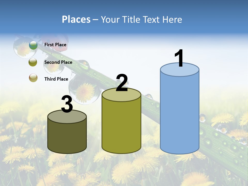 Insect Tranquil Drop PowerPoint Template