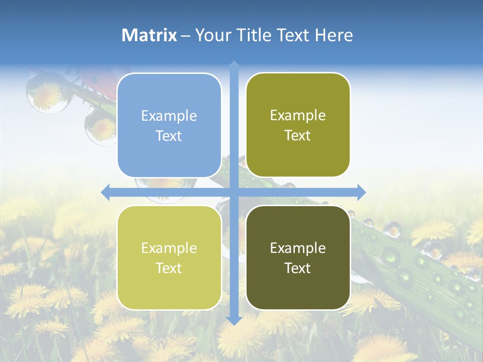 Insect Tranquil Drop PowerPoint Template