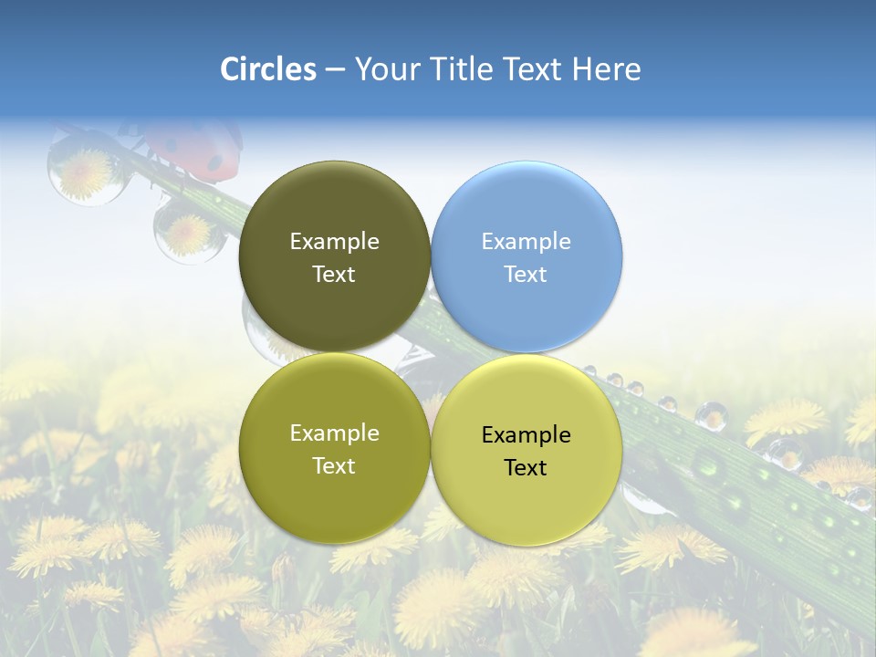 Insect Tranquil Drop PowerPoint Template