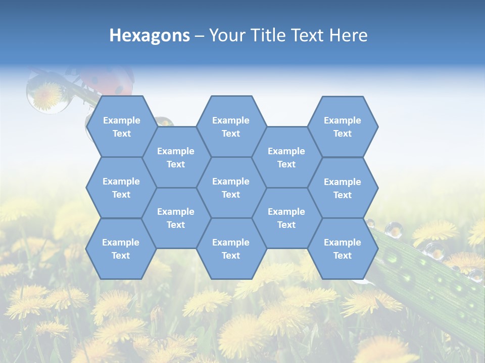 Insect Tranquil Drop PowerPoint Template