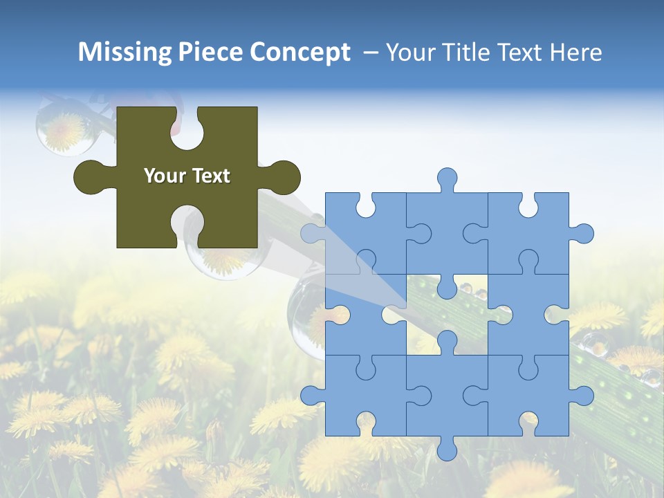 Insect Tranquil Drop PowerPoint Template