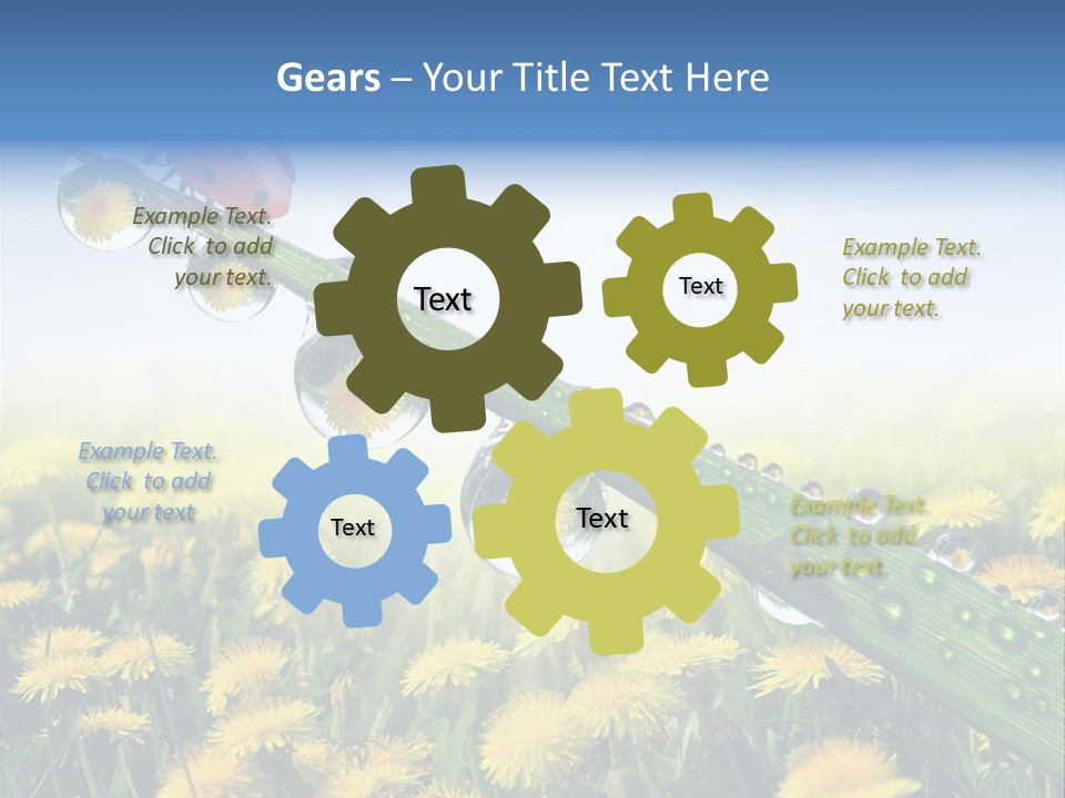 Insect Tranquil Drop PowerPoint Template