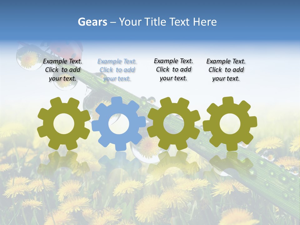 Insect Tranquil Drop PowerPoint Template