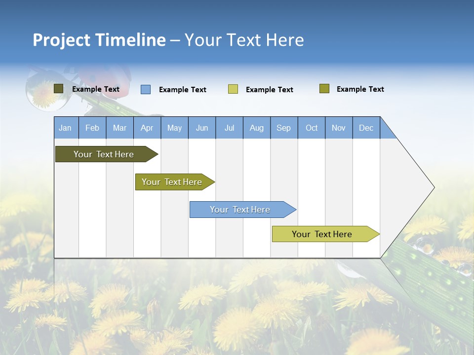Insect Tranquil Drop PowerPoint Template