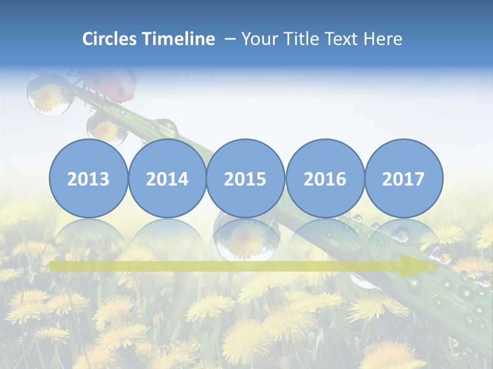 Insect Tranquil Drop PowerPoint Template