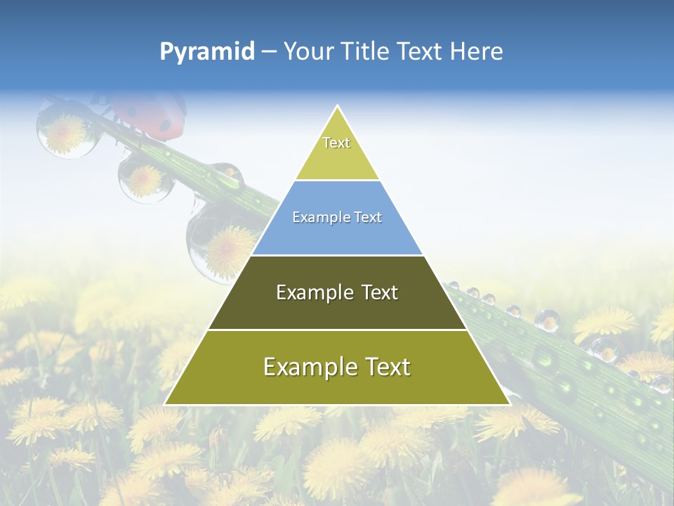 Insect Tranquil Drop PowerPoint Template
