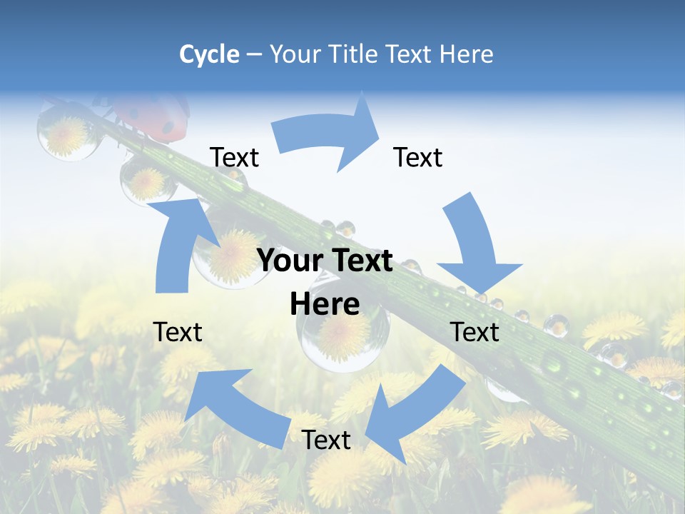 Insect Tranquil Drop PowerPoint Template