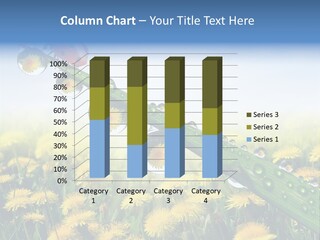 Insect Tranquil Drop PowerPoint Template