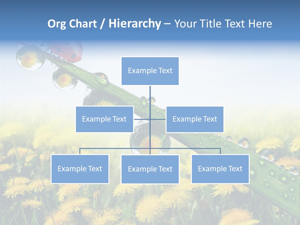 Insect Tranquil Drop PowerPoint Template