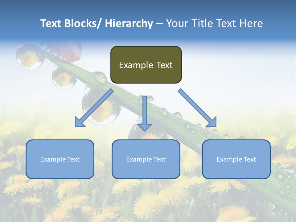 Insect Tranquil Drop PowerPoint Template