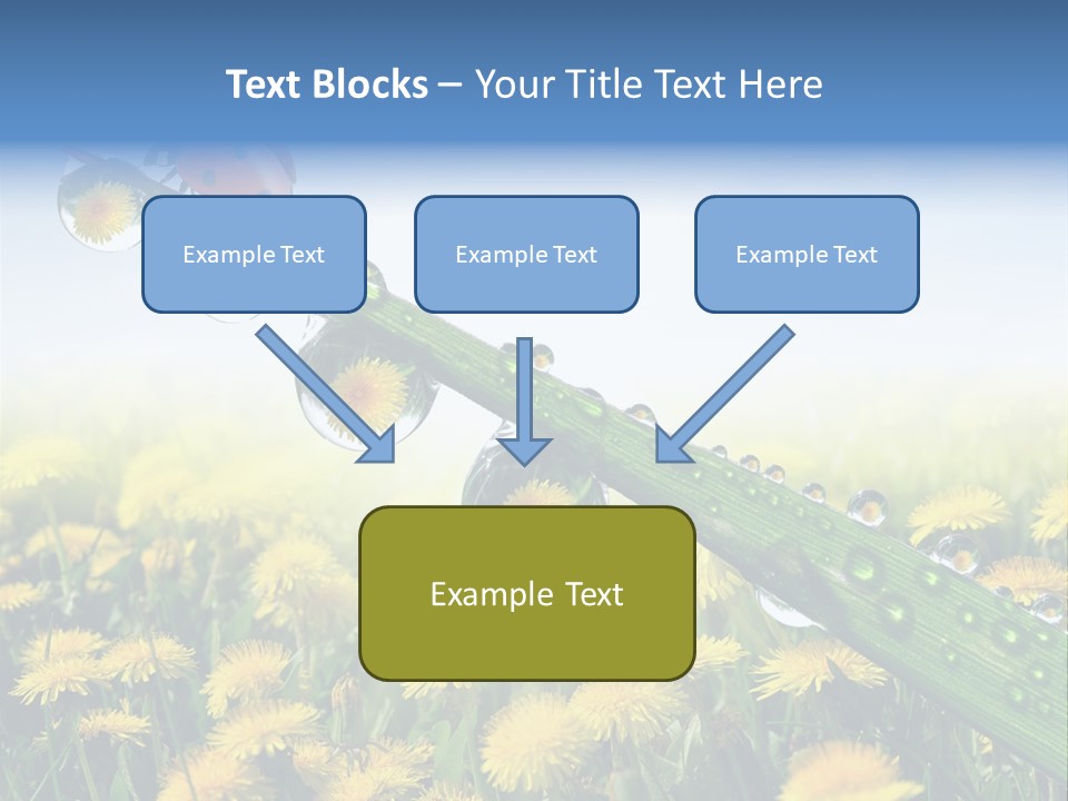 Insect Tranquil Drop PowerPoint Template