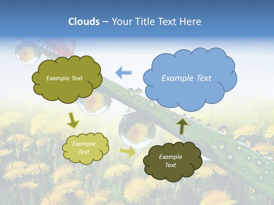 Insect Tranquil Drop PowerPoint Template