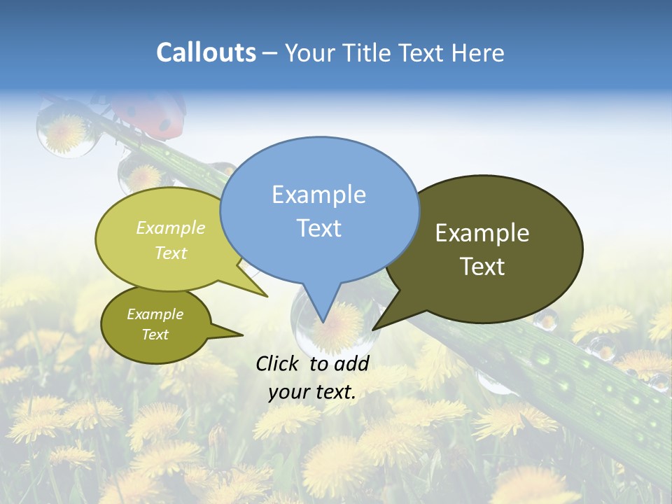 Insect Tranquil Drop PowerPoint Template