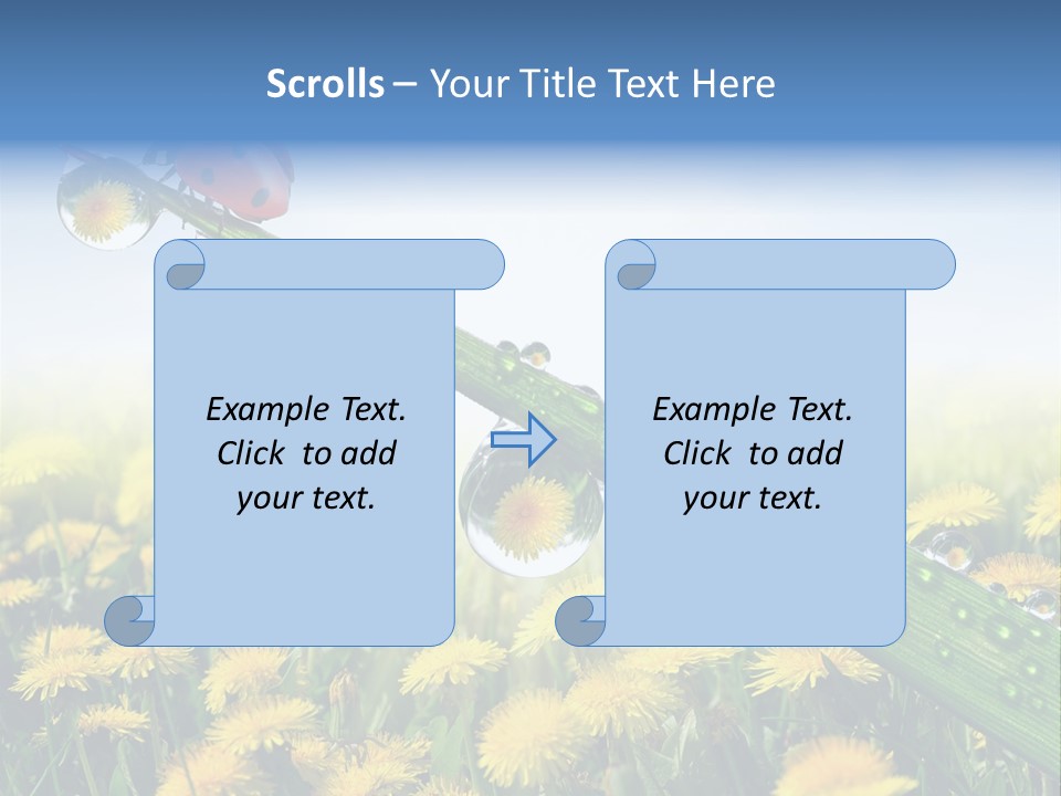 Insect Tranquil Drop PowerPoint Template