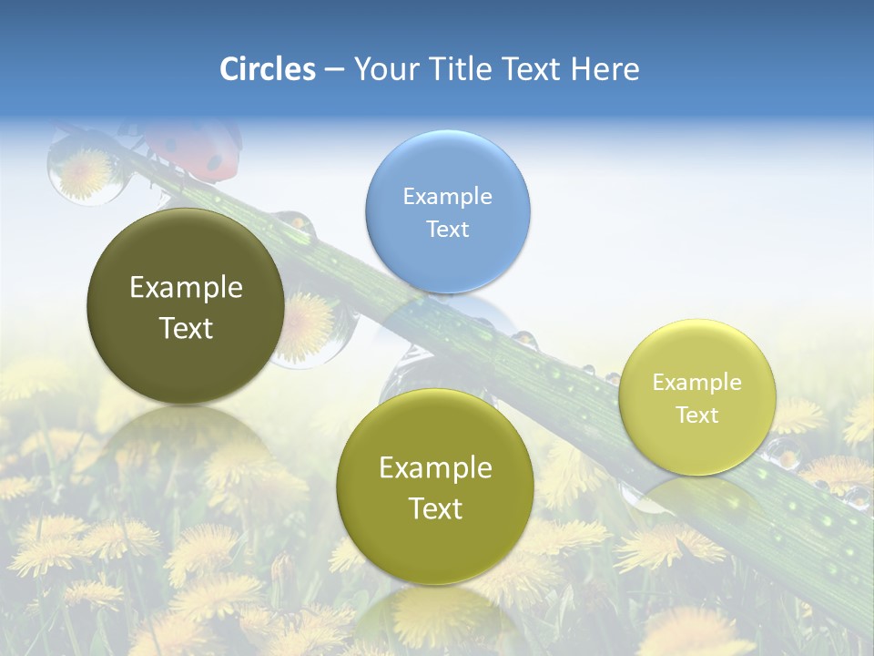 Insect Tranquil Drop PowerPoint Template