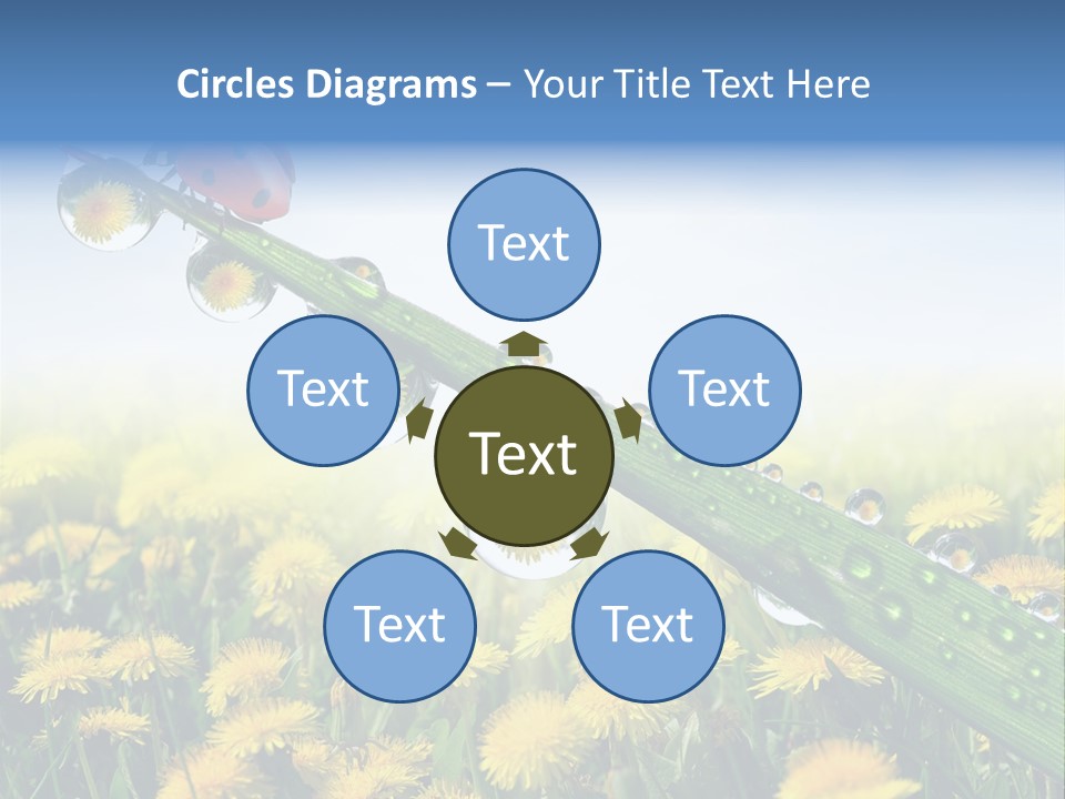 Insect Tranquil Drop PowerPoint Template