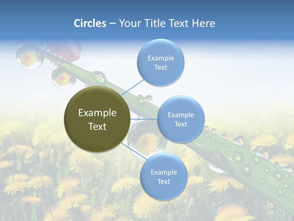 Insect Tranquil Drop PowerPoint Template