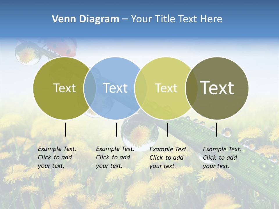 Insect Tranquil Drop PowerPoint Template