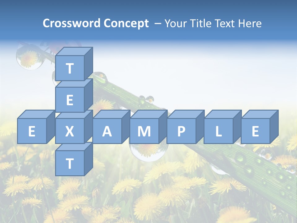 Insect Tranquil Drop PowerPoint Template