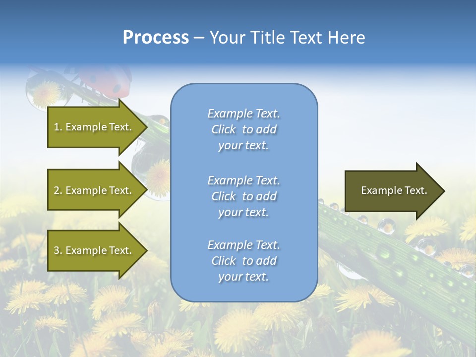 Insect Tranquil Drop PowerPoint Template