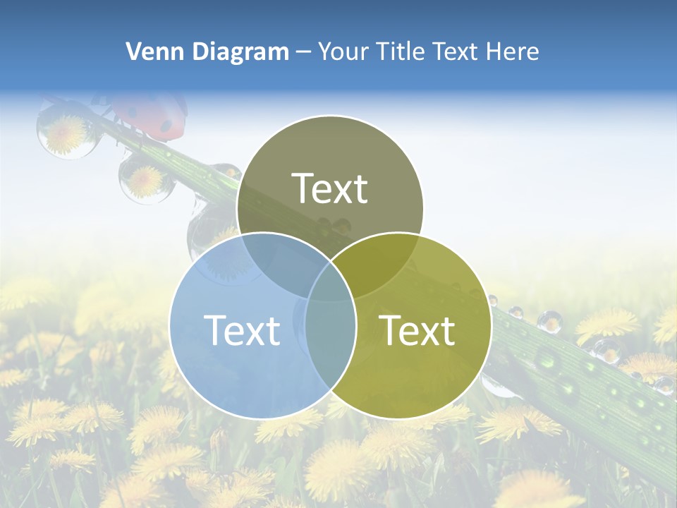 Insect Tranquil Drop PowerPoint Template