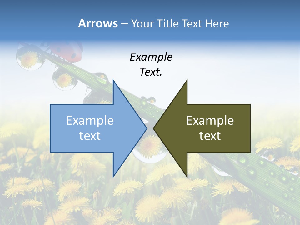 Insect Tranquil Drop PowerPoint Template