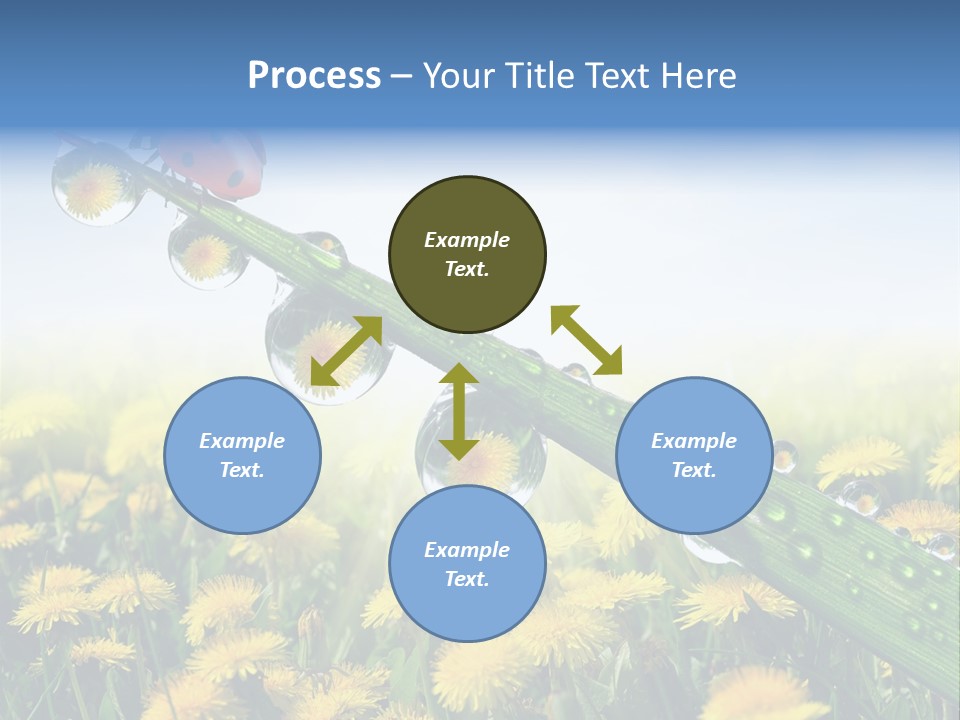 Insect Tranquil Drop PowerPoint Template