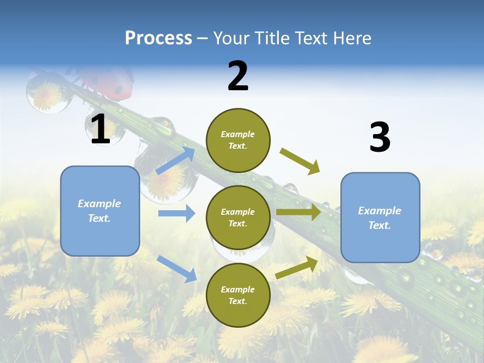 Insect Tranquil Drop PowerPoint Template