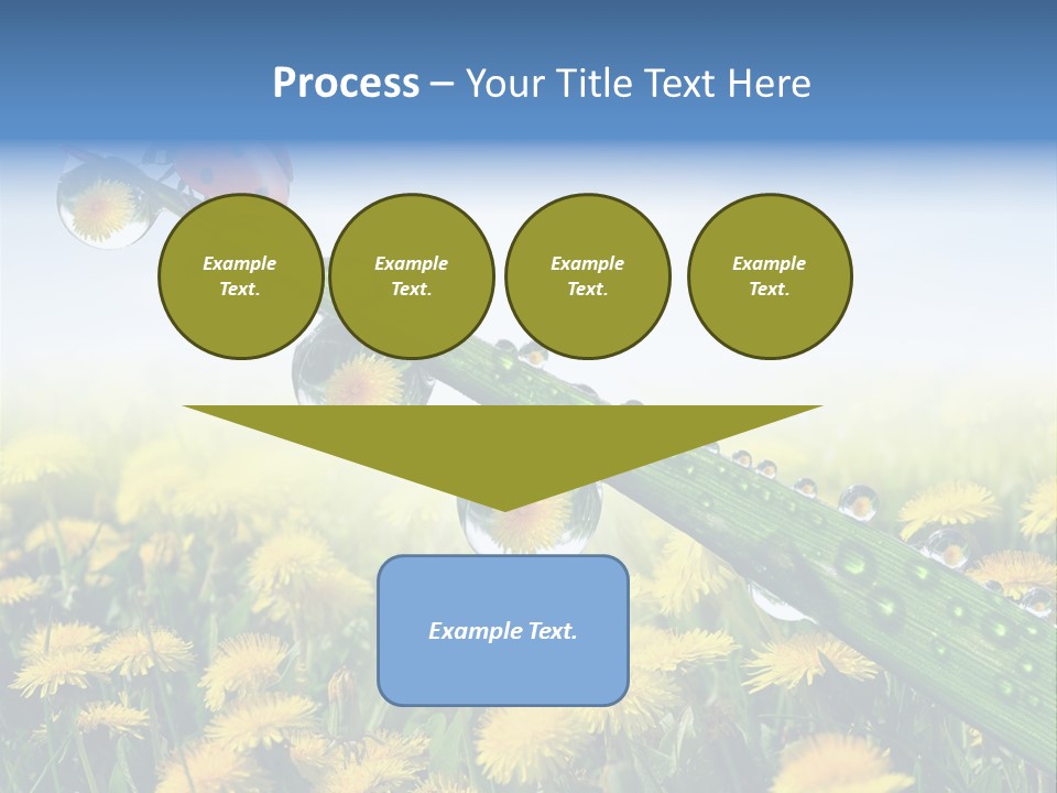 Insect Tranquil Drop PowerPoint Template