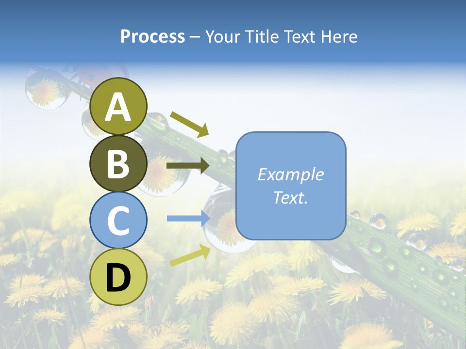 Insect Tranquil Drop PowerPoint Template