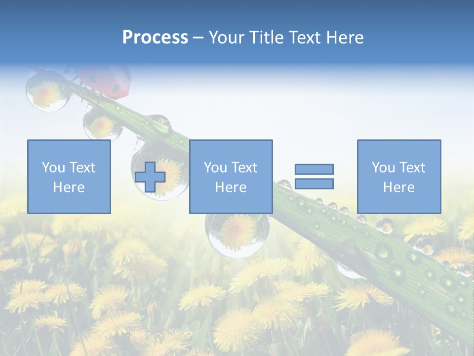 Insect Tranquil Drop PowerPoint Template