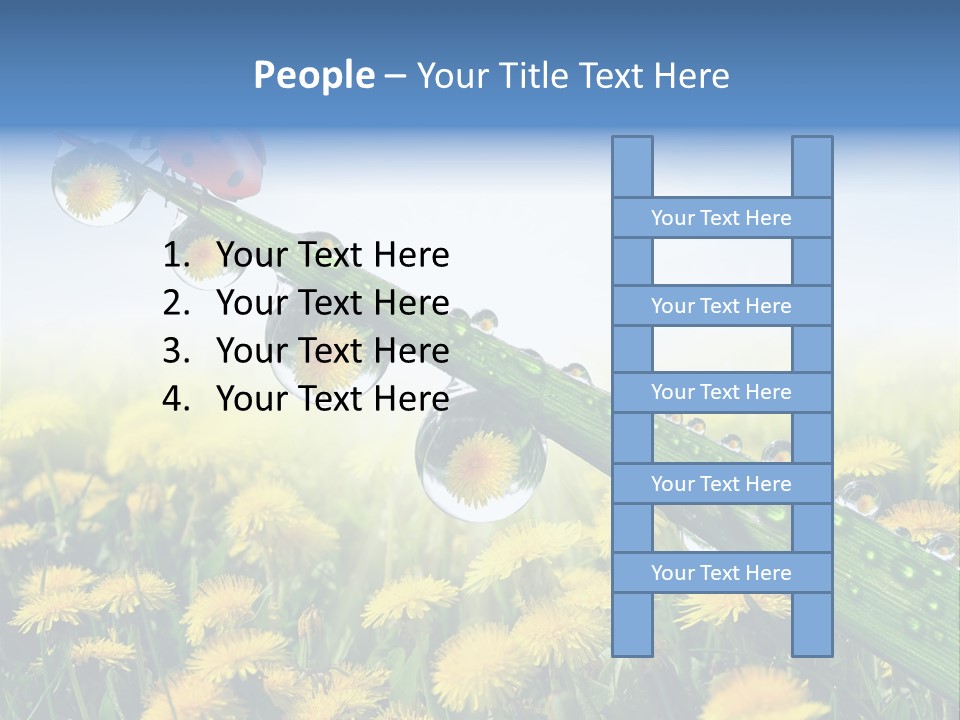 Insect Tranquil Drop PowerPoint Template