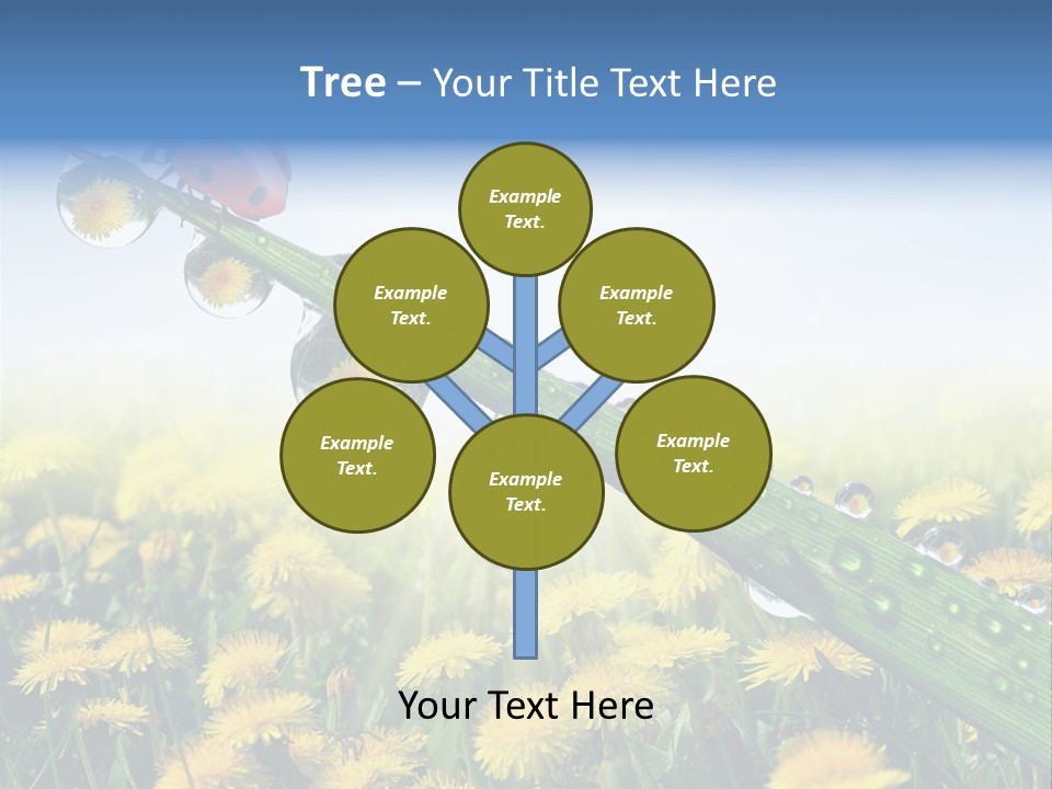 Insect Tranquil Drop PowerPoint Template