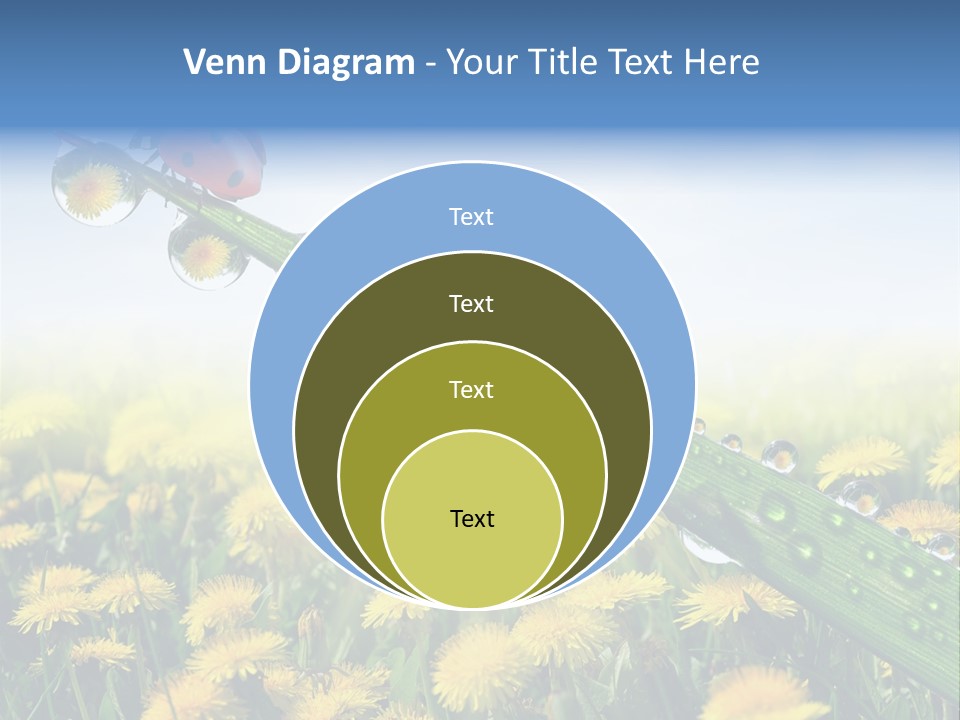 Insect Tranquil Drop PowerPoint Template