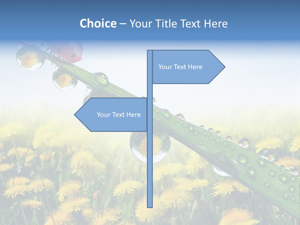 Insect Tranquil Drop PowerPoint Template