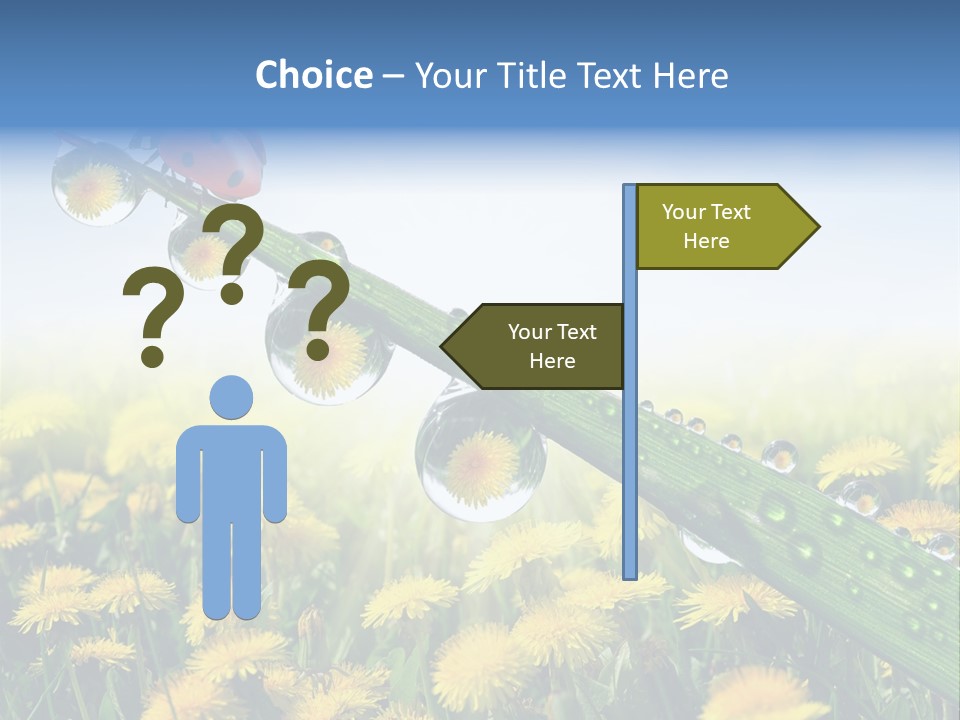 Insect Tranquil Drop PowerPoint Template