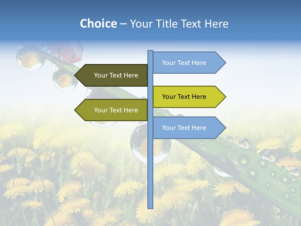Insect Tranquil Drop PowerPoint Template