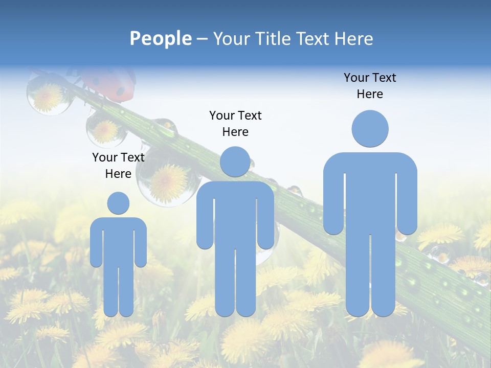 Insect Tranquil Drop PowerPoint Template