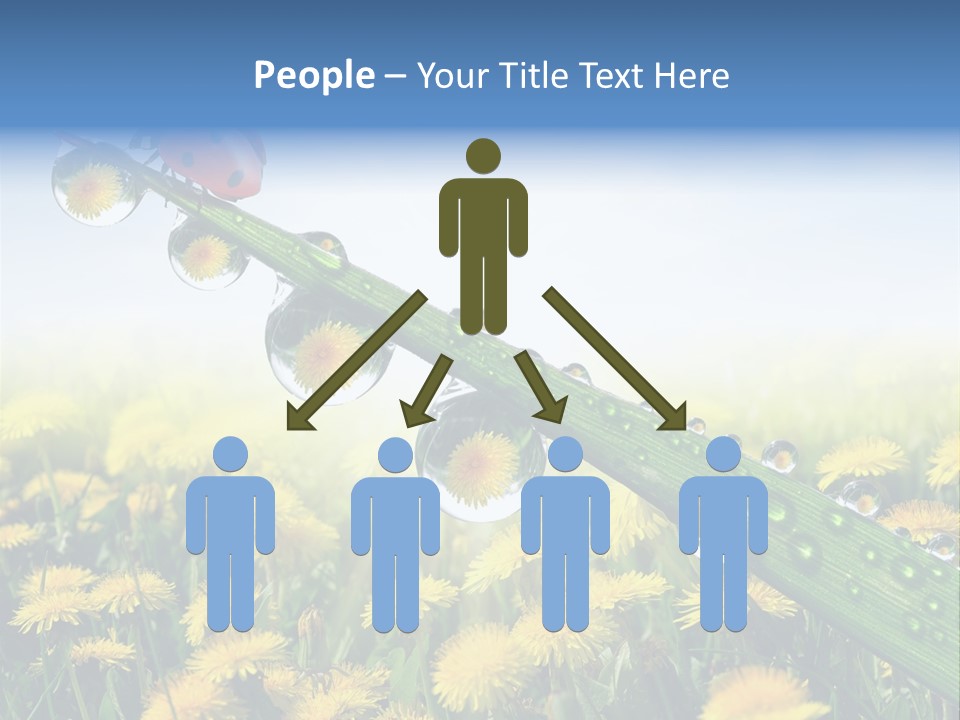 Insect Tranquil Drop PowerPoint Template