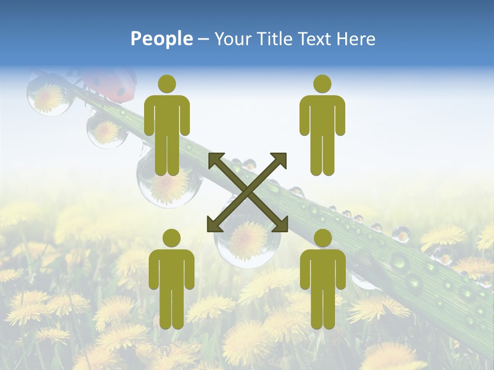 Insect Tranquil Drop PowerPoint Template