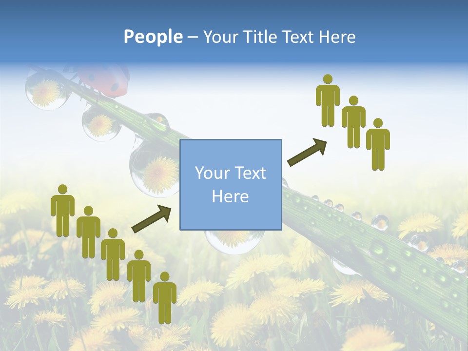 Insect Tranquil Drop PowerPoint Template