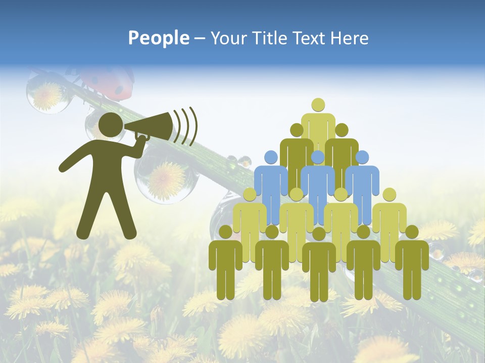 Insect Tranquil Drop PowerPoint Template