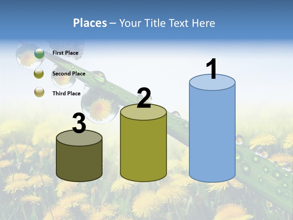 Flower Beauty Bright PowerPoint Template