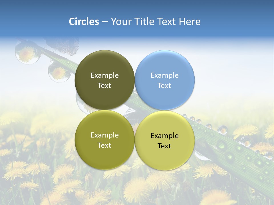 Flower Beauty Bright PowerPoint Template